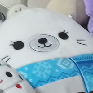 Meet your Posher, Kelly-anne